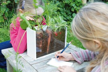 ***BESTSELLER*** OUTDOOR KOFER KAKO RASTU BILJKE