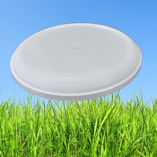 STANDARDNI FRIZBI 21 CM (25 kom.)